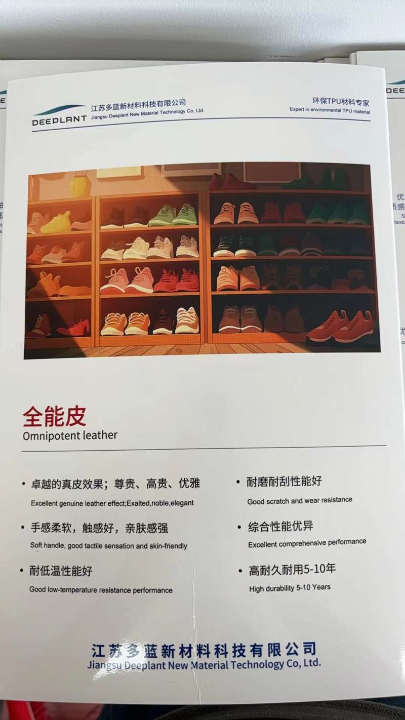 多蓝5.jpg