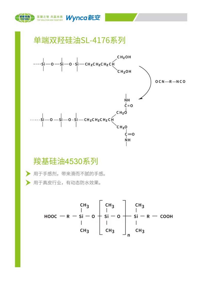 崇耀2.jpg