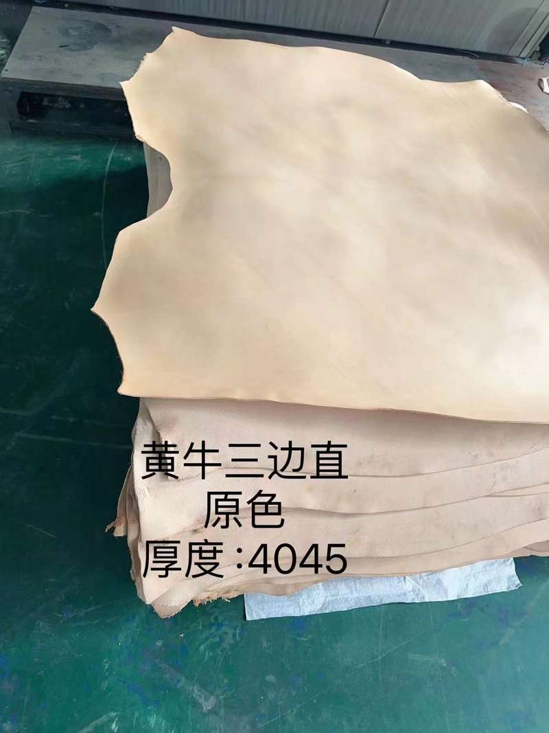 豫星2.jpg