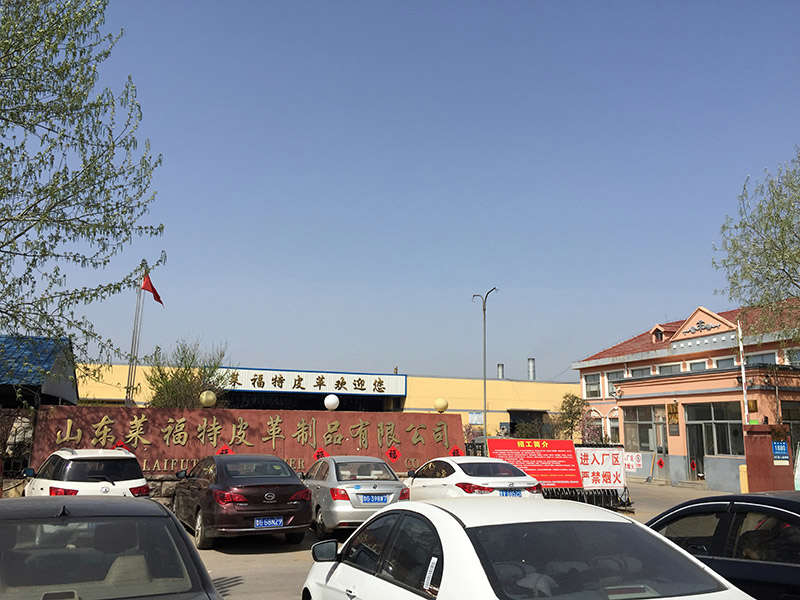 莱福特3.jpg
