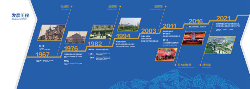 发展历程-01(1).jpg