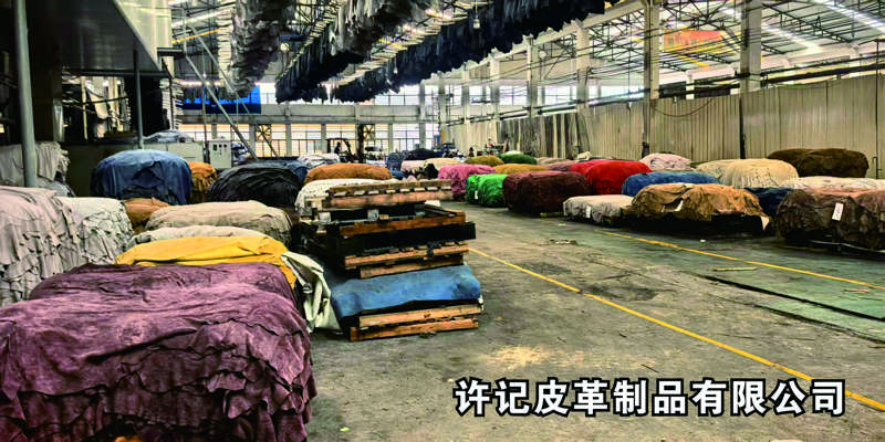 许记图片1.jpg
